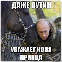 даже Путин уважает коня принца