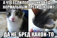 А что если Порошенко будет нормальным президентом? Да не, бред какой-то