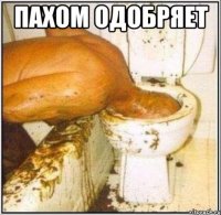 пахом одобряет 