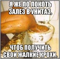Я же по локоть залез в унитаз, Чтоб получить свои жалкие крохи.