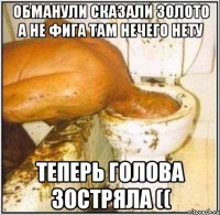 Обманули сказали золото а не фига там нечего нету Теперь голова зостряла ((