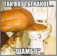 Так вот ты какое.... "шамбо"...