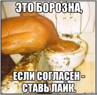 Это Борозна, Если согласен - ставь лайк.