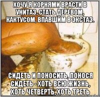 Хочу я корнями врасти в унитаз, Стать деревом, кактусом, впавшим в экстаз. Сидеть и поносить, понося сидеть - Хоть всю жизнь, хоть четверть, хоть треть