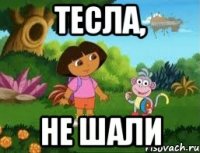 ТЕСЛА, НЕ ШАЛИ