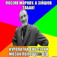 Посіяв моркву, а зійшов табак! Куропатка вже сутки мозок полоще!©ДІД