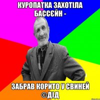 Куропатка захотіла бассєйн - Забрав корито у свиней ©ДІД