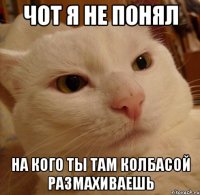 чот я не понял на кого ты там колбасой размахиваешь