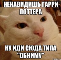Ненавидишь Гарри Поттера Ну иди сюда типа "обниму"