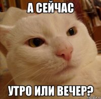 а сейчас утро или вечер?