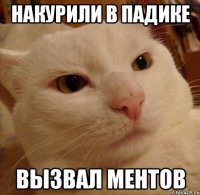 НАКУРИЛИ В ПАДИКЕ ВЫЗВАЛ МЕНТОВ