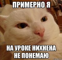 примерно я на уроке нихнена не понемаю