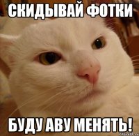 скидывай фотки буду аву менять!