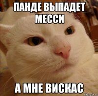 Панде выпадет Месси А мне вискас