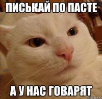 писькай по пасте а у нас говарят