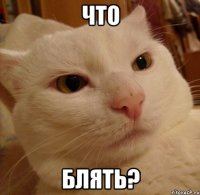 Что Блять?