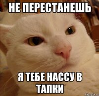 не перестанешь я тебе нассу в тапки