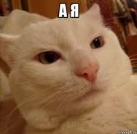 а я 
