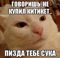 Говоришь, не купил Китикет.. Пизда тебе сука