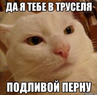 ДА Я ТЕБЕ В ТРУСЕЛЯ ПОДЛИВОЙ ПЕРНУ