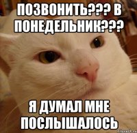 ПОЗВОНИТЬ??? В ПОНЕДЕЛЬНИК??? Я думал мне послышалось