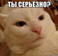 Ты серьёзно? 