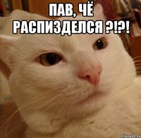 ПАВ, ЧЁ РАСПИЗДЕЛСЯ ?!?! 