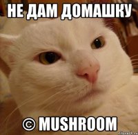 Не дам домашку © Mushroom