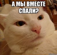 А мы вместе спали? 