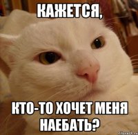 Кажется, кто-то хочет меня наебать?