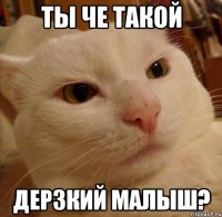 Ты че такой Дерзкий малыш?