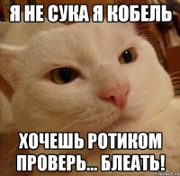 Я не сука я кобель Хочешь ротиком проверь... Блеать!