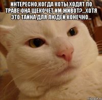 интересно,когда коты ходят по траве-она щекочет им живот?...хотя это тайна для людей,конечно... 