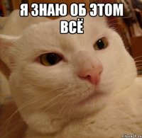 я знаю об этом всё 