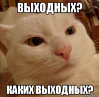 выходных? каких выходных?