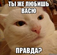 Ты же любишь васю правда?