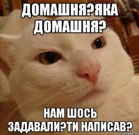 Домашня?яка домашня? нам шось задавали?ти написав?