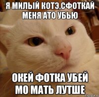 Я МИЛЫЙ КОТЭ,СФОТКАЙ МЕНЯ АТО УБЬЮ ОКЕЙ ФОТКА УБЕЙ МО МАТЬ ЛУТШЕ