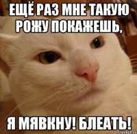 Ещё раз мне такую рожу покажешь, я мявкну! Блеать!