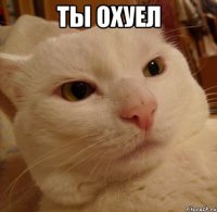 Ты охуел 