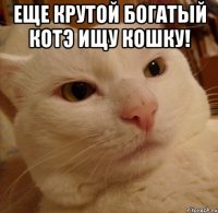 Еще крутой богатый котэ ищу кошку! 