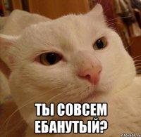  ТЫ СОВСЕМ ЕБАНУТЫЙ?