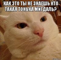 КАК ЭТО ТЫ НЕ ЗНАЕШЬ КТО ТАКАЯ ТОНЬКА МИГДАЛЬ? 