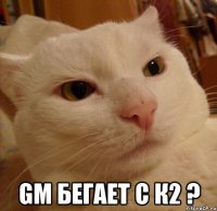  GM бегает с К2 ?