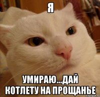 Я умираю...дай котлету на прощанье