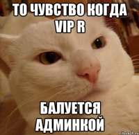 ТО чувство когда VIP r Балуется админкой