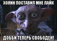 Хояин поставил мне лайк Добби теперь свободен!