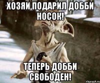 Хозяи подарил Добби носок! Теперь Добби СВОБОДЕН!