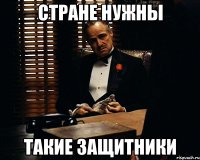 стране нужны такие защитники