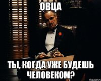 Овца Ты, когда уже будешь человеком?